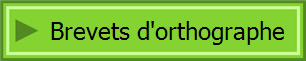 Brevets d'orthographe